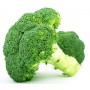 Brocoli