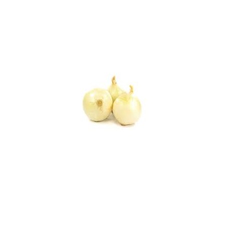 Cebolla Dulce - [PESO: 1 kg.] 