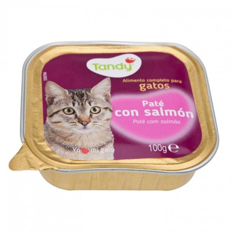Comida  Gato Salmon Y Atun 100 Grs.tandy