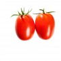 Tomate Pera - [PESO: 1 kg.] 