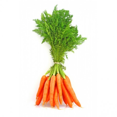 Zanahoria En  Rama