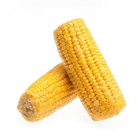 Mazorca Maiz 2u.