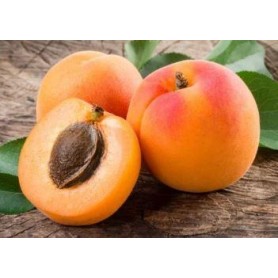 Albaricoque - [PESO: 1 kg.] 