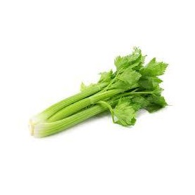 Apio Kilo - [PESO: 1 kg.] 